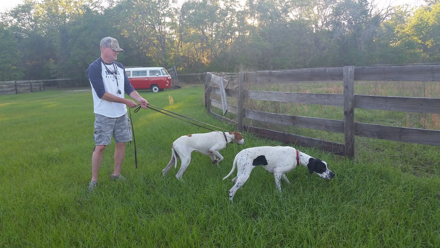 Scot with Awards in Field